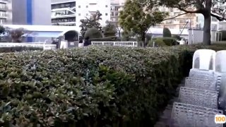 猫途鹰后入约炮大学生